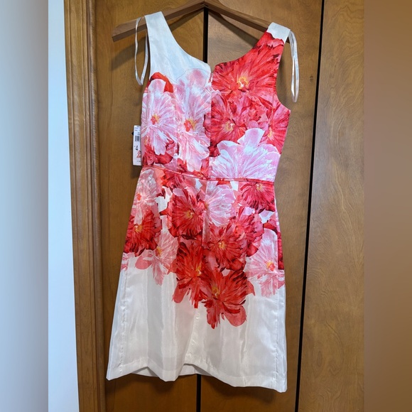 NWT Pink Floral Fit and Flare Cocktail Dress from Studio One - Picture 2 of 6